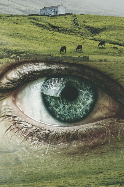 Eye Overlooking Green Pastures — Fine Art Print. poster print
