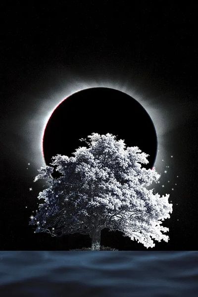 Eclipse Tree — Nature Poster. poster