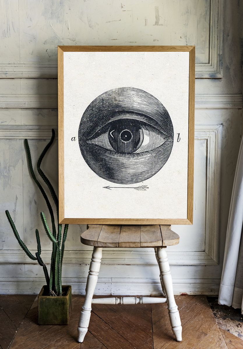 Anatomical Eye Illustration Poster. — room view 1