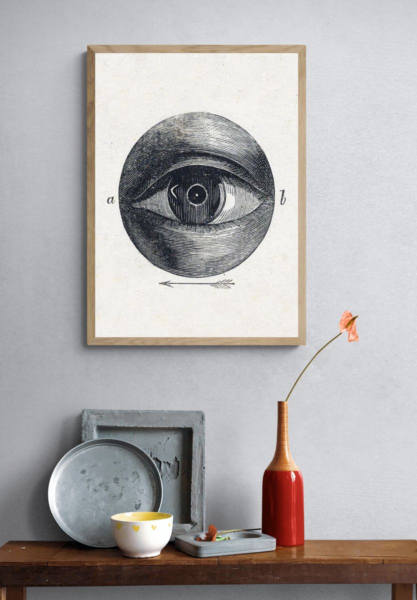 Anatomical Eye Illustration Poster. — room view 3