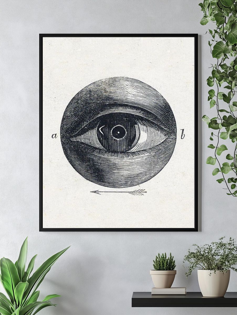 Anatomical Eye Illustration Poster. — room view 4