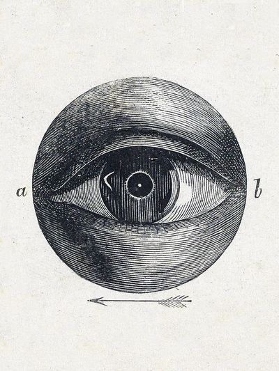 Anatomical Eye Illustration Poster. poster print