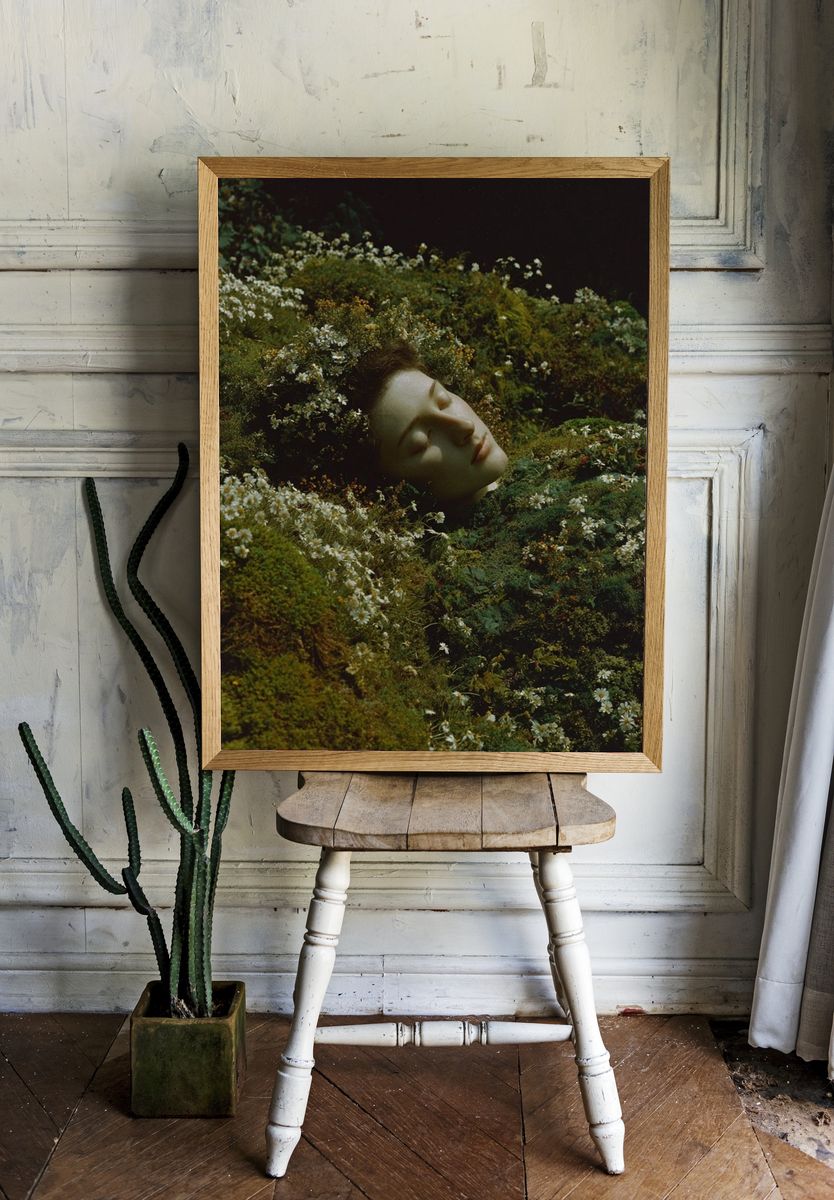 Sleeping Beauty in Bloom — Fine Art Print. — room view 1