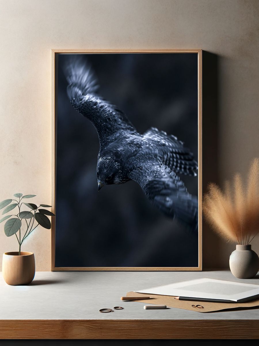 Falcon in Flight Photography Poster. — room view 2