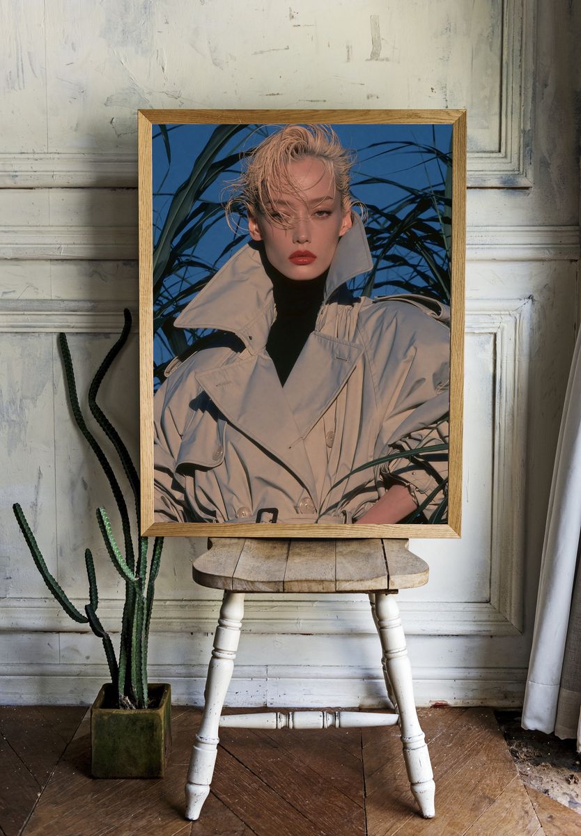 Fashion Portrait Photography Poster. room preview