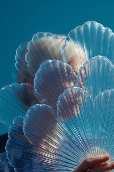 Transparent Shells
