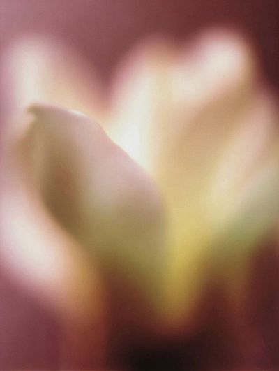 Artist's Studio — Fine Art Print. poster print