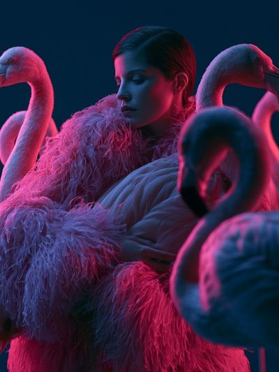 Neon Flamingo Portrait Print. poster