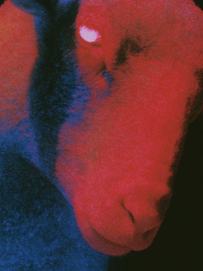 Abstract Neon Face Poster. poster