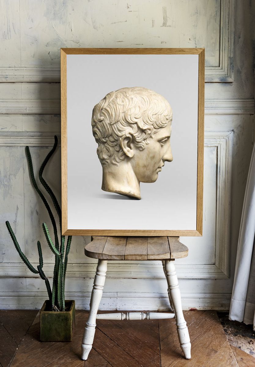 Classical Sculpture Head — Fine Art Print. — room view 1
