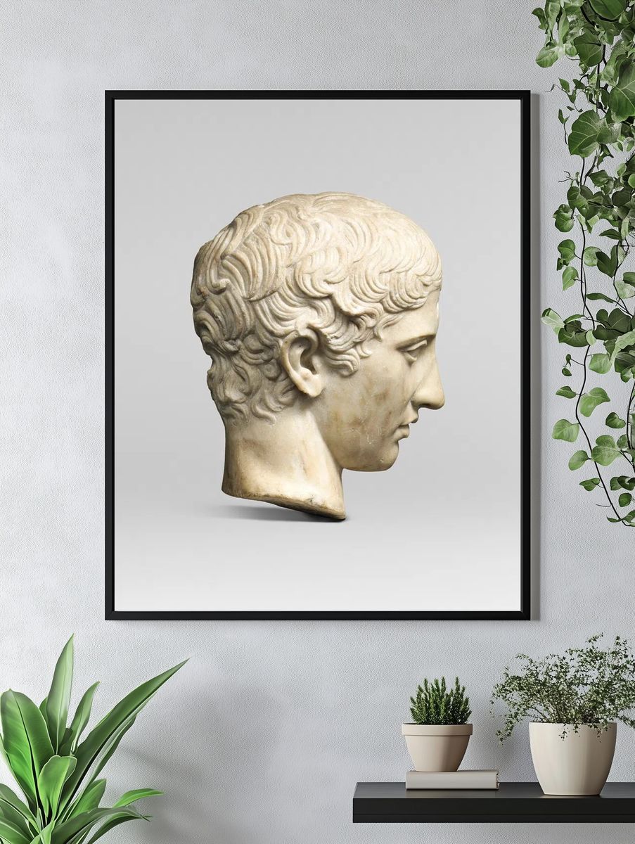 Classical Sculpture Head — Fine Art Print. — room view 4