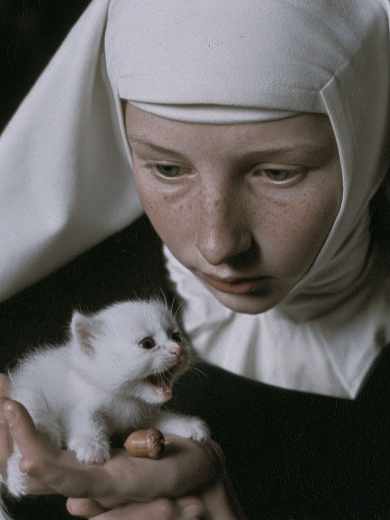 Nun and Kitten Portrait Print. poster — fine-art art