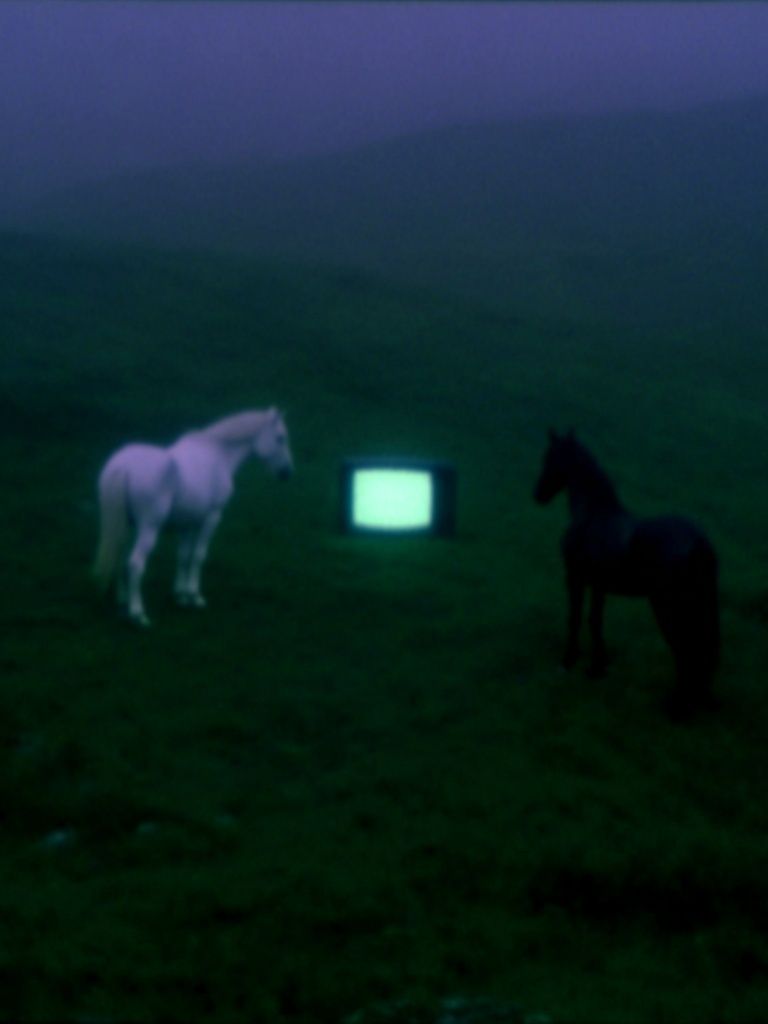 Surreal Horses and TV — Fine Art Print. poster — fine-art art