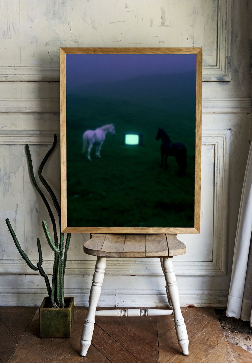 Surreal Horses and TV — Fine Art Print. — room view 1