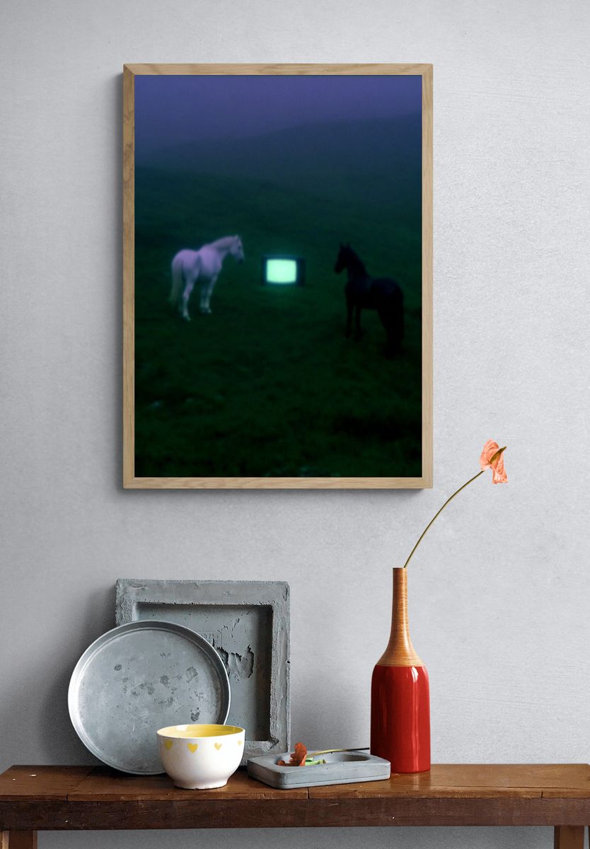 Surreal Horses and TV — Fine Art Print. — room view 3
