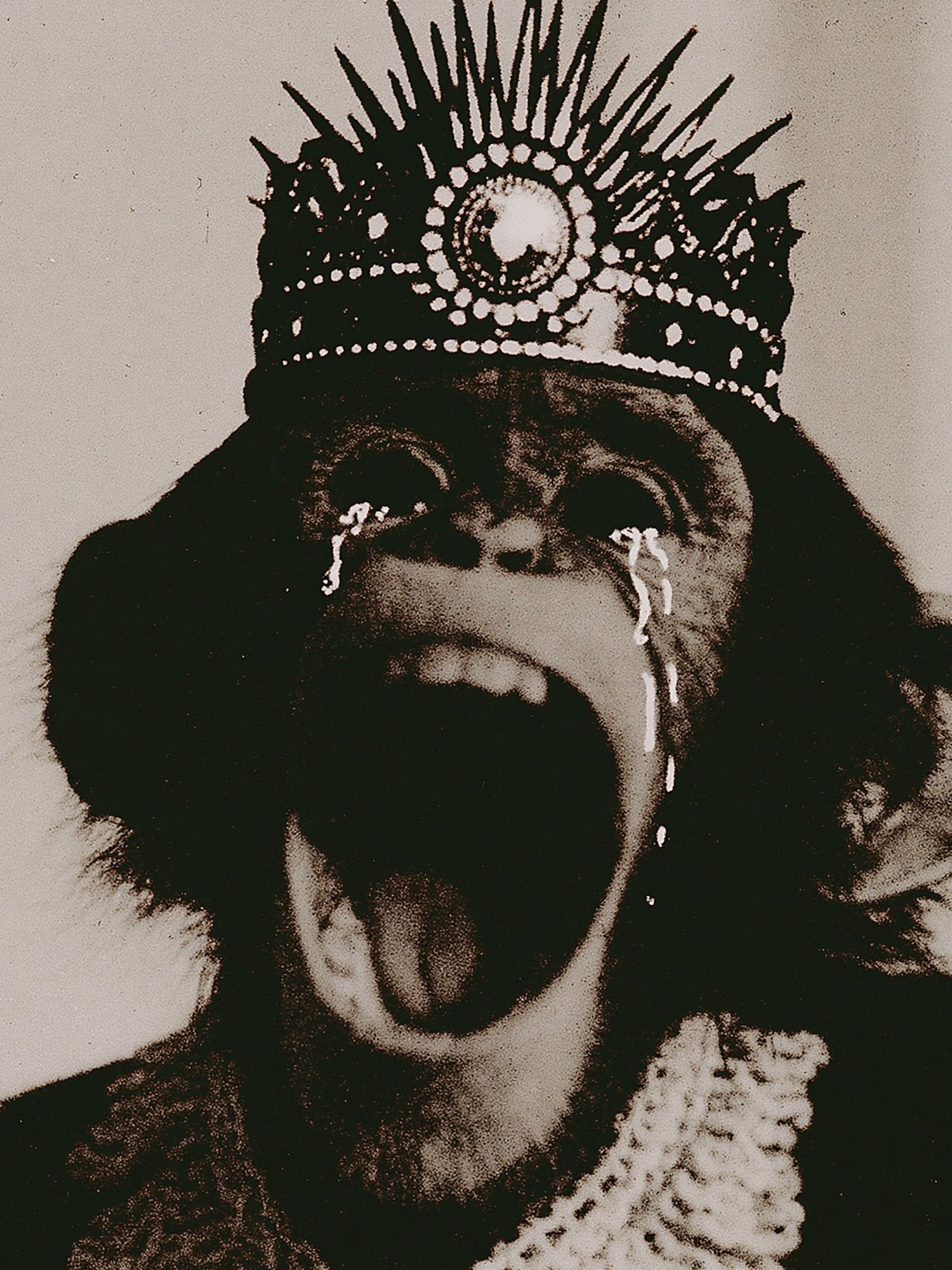 Crying Monkey Crown Poster. poster detail