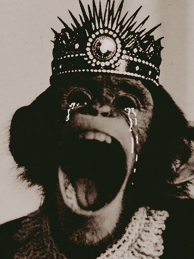 Crying Monkey Crown Poster.