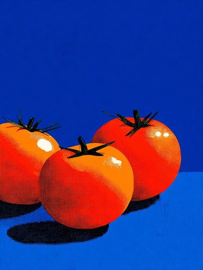 Pop Art Tomatoes Poster. poster print