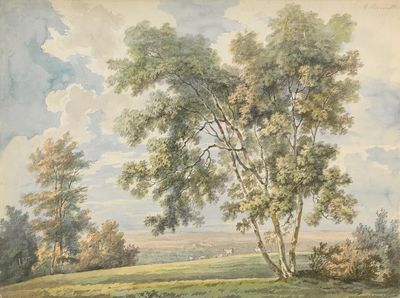 Landscape with Trees and Sheep (Park Landscape with Sheep). poster print
