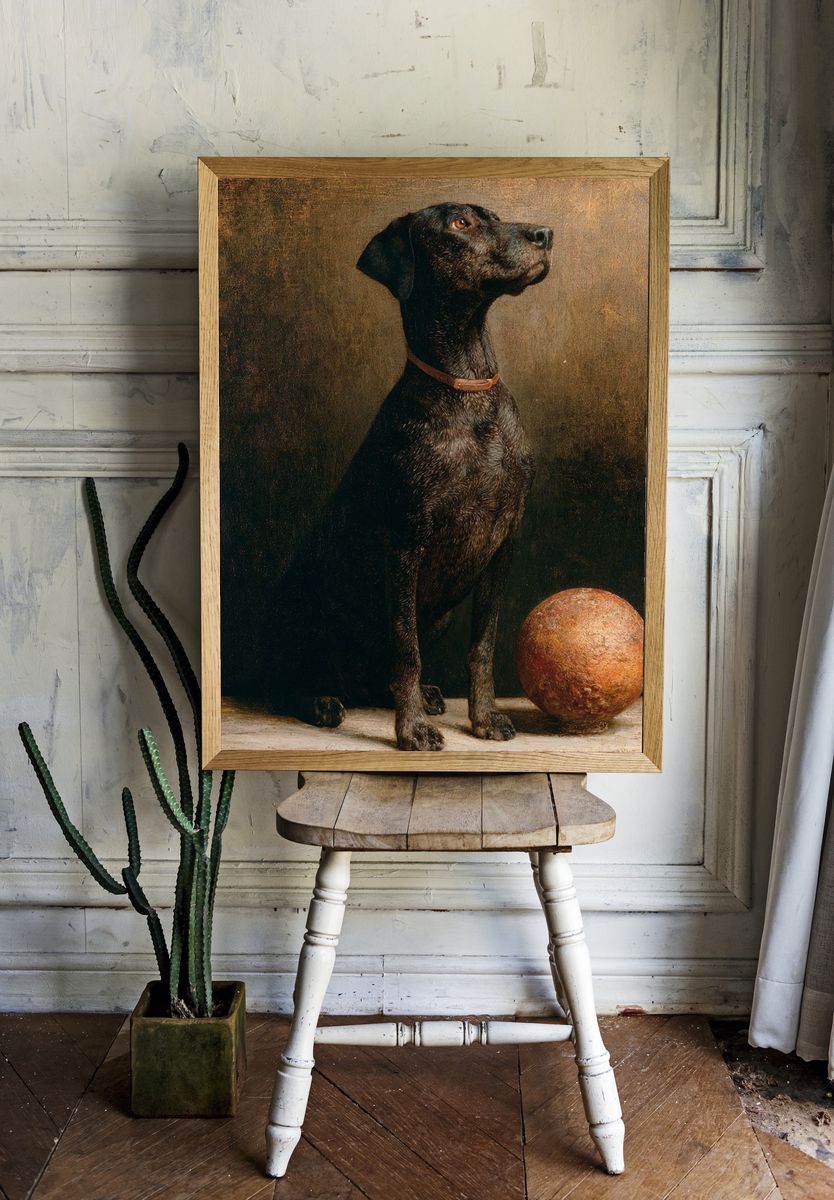 Black Dog Still Life Poster. — room view 1