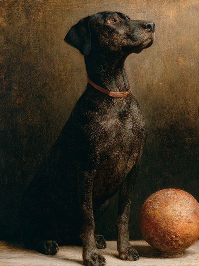 Black Dog Still Life Poster.