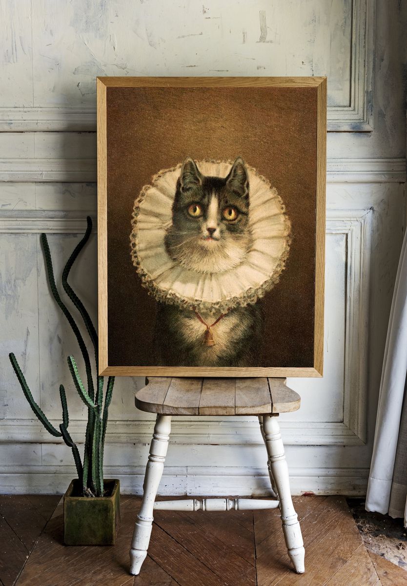 widow (1861–1897), vintage cat portrait. — room view 1