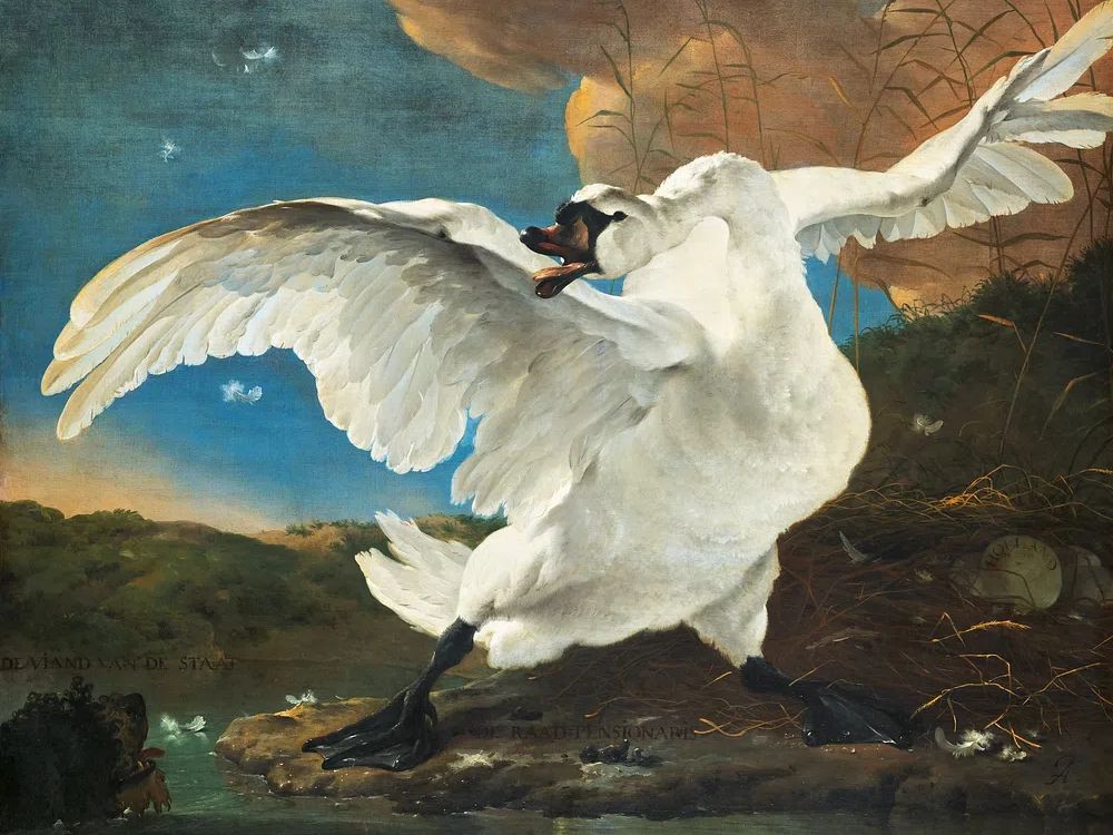 Majestic Swan — Fine Art Print. poster — fine-art art
