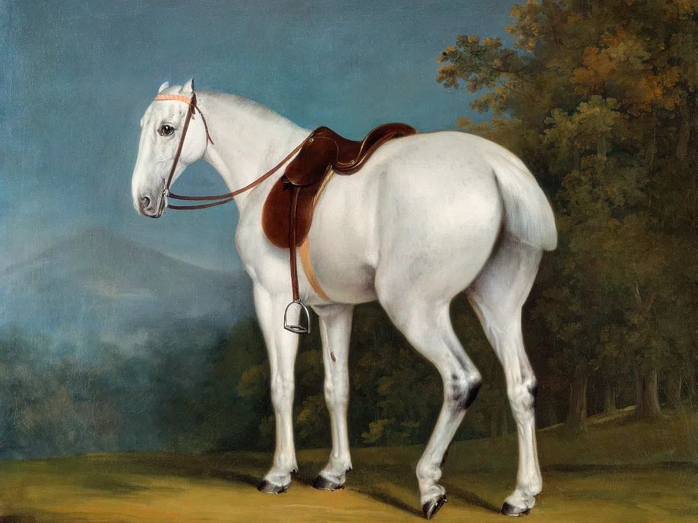 Lady's Grey Hunter (ca. 1806). poster — fine-art art