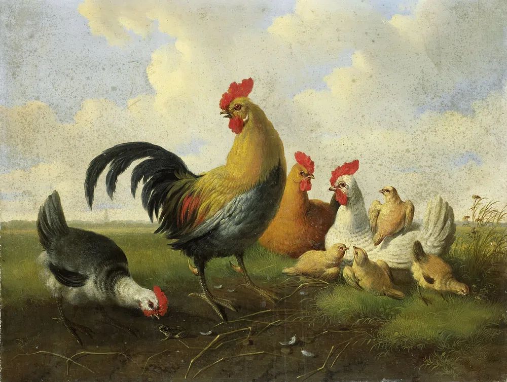 Farmyard Chickens — Fine-Art Print. poster detail