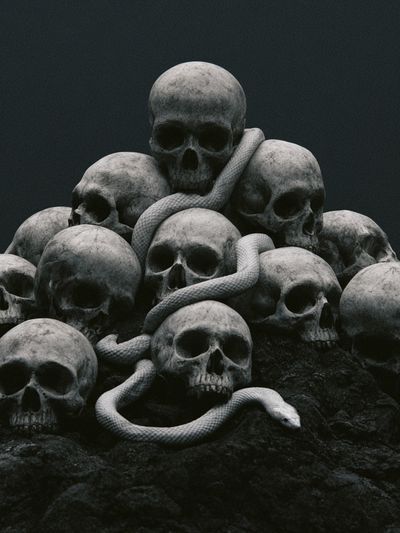 Skull Serpent Dark Print.
