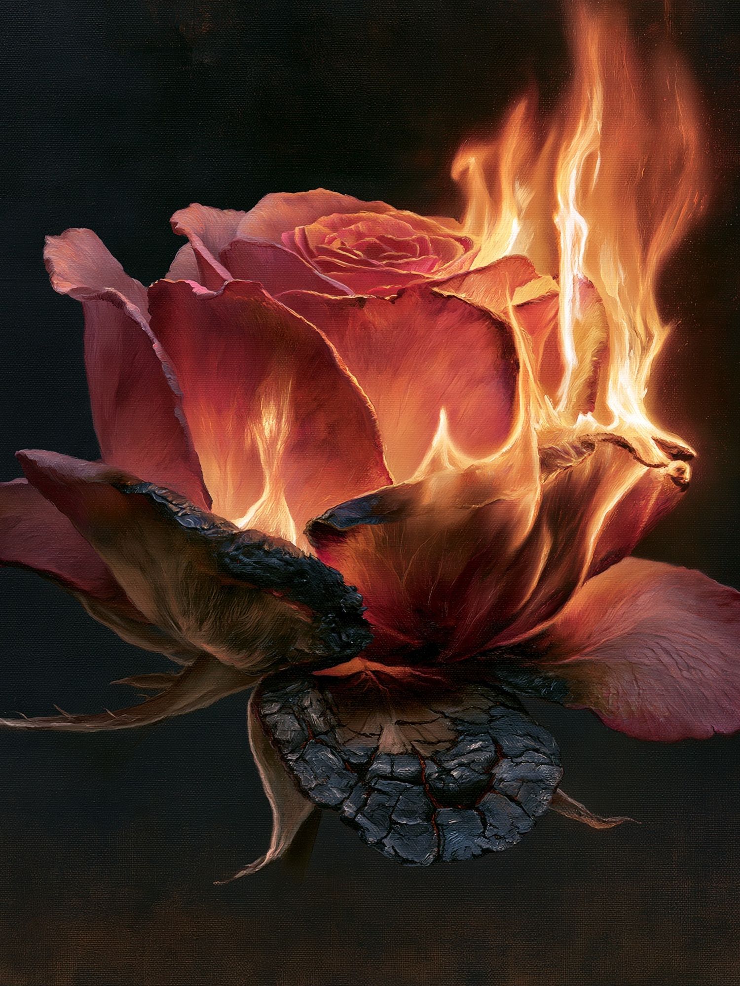 Burning Rose Fine-Art Print. poster detail