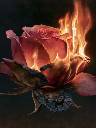Burning Rose Fine-Art Print.