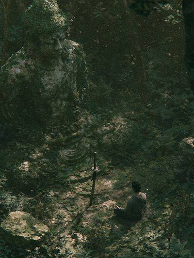 Forest Meditation — Fine-Art Print.
