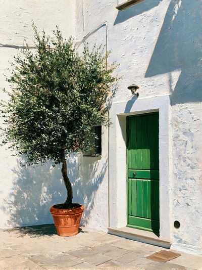 Mediterranean Courtyard Olive Tree Print.