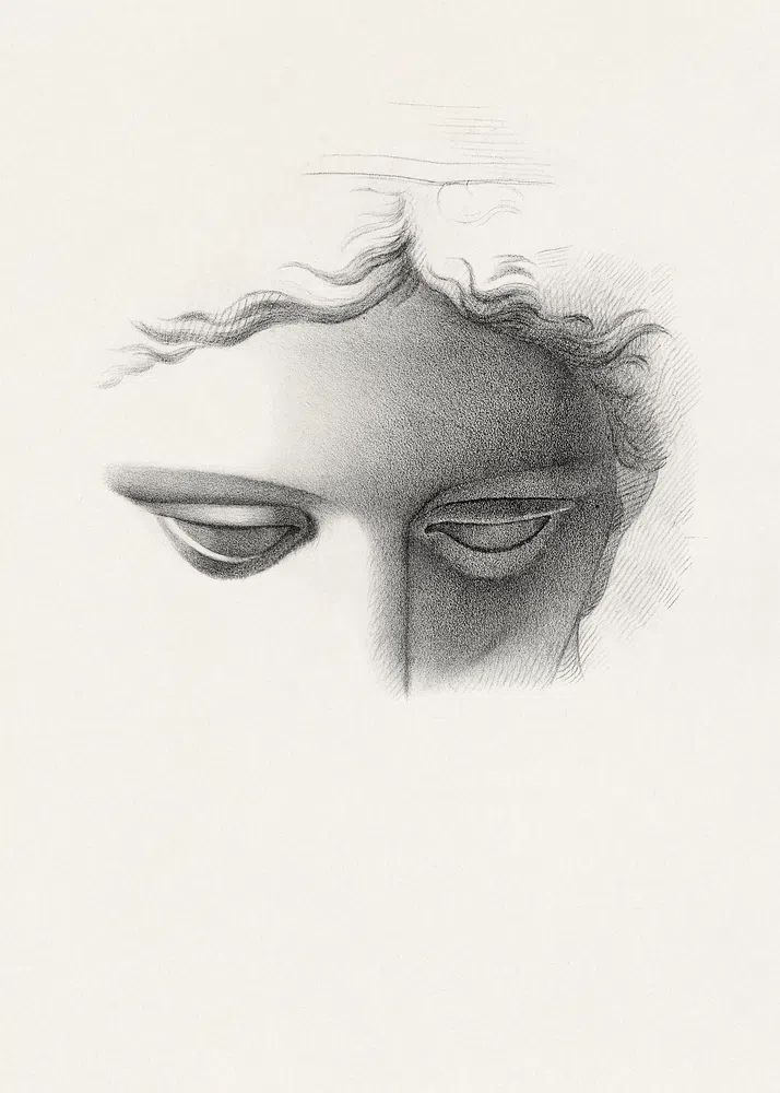 Apollo Belvidere, study showing forehead. poster detail
