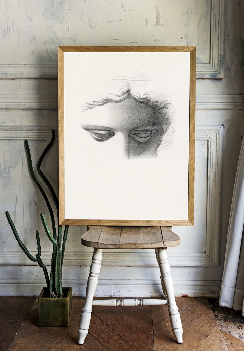 Apollo Belvidere, study showing forehead. — room view 1