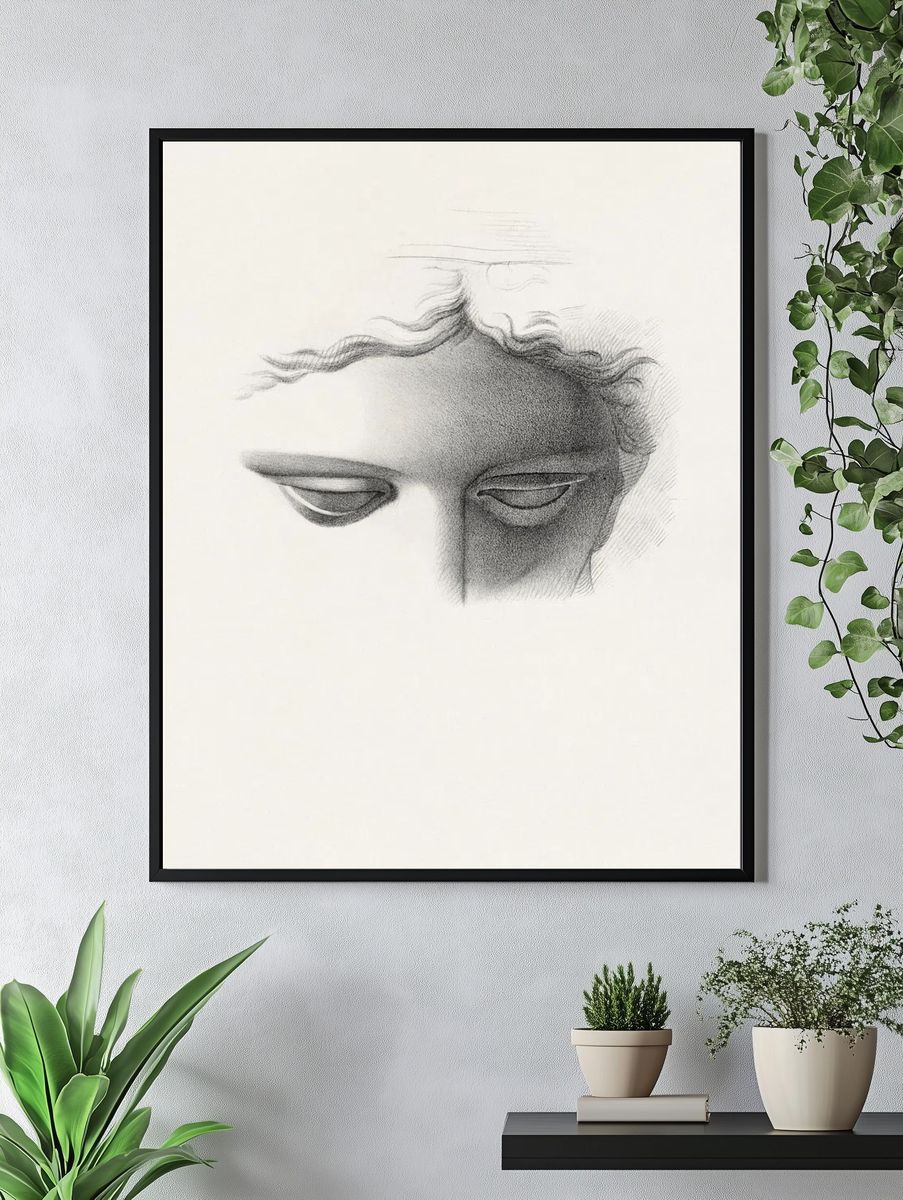 Apollo Belvidere, study showing forehead. — room view 4