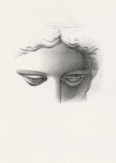 Apollo Belvidere, study showing forehead.