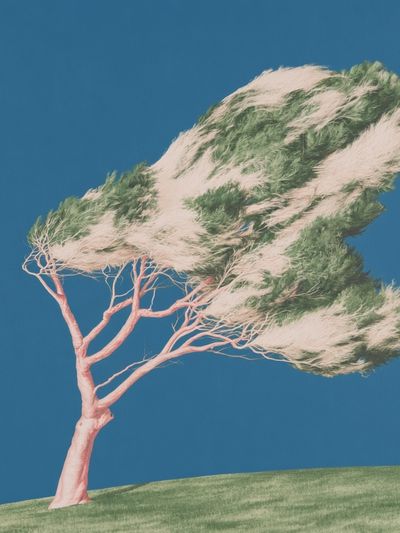 Windblown Tree Surrealism Print. poster