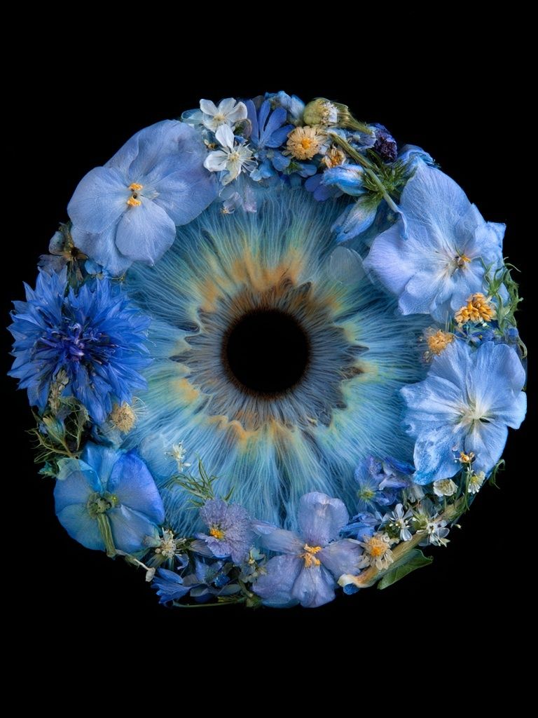 Blue Floral Eye Print. poster — fine-art art