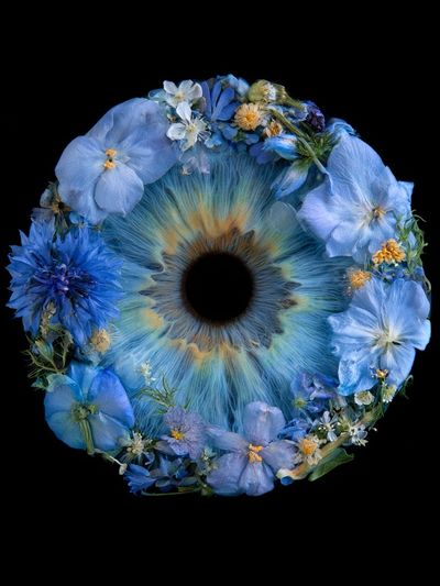 Blue Floral Eye Print.