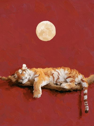 Sleeping Cat Moon Poster.