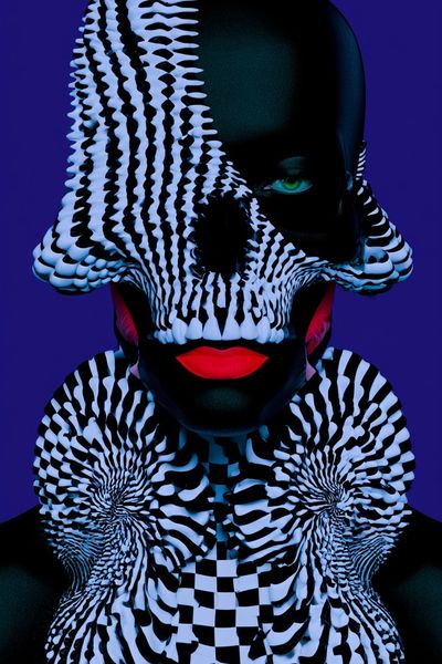 Surreal Zebra Portrait Print.