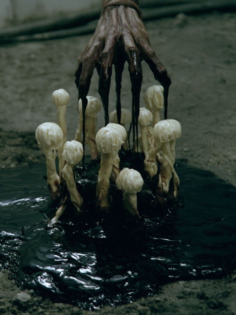 Dark Mushroom Ritual Poster. poster — fine-art art