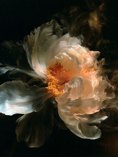 Abstract Bloom Fine-Art Print. poster