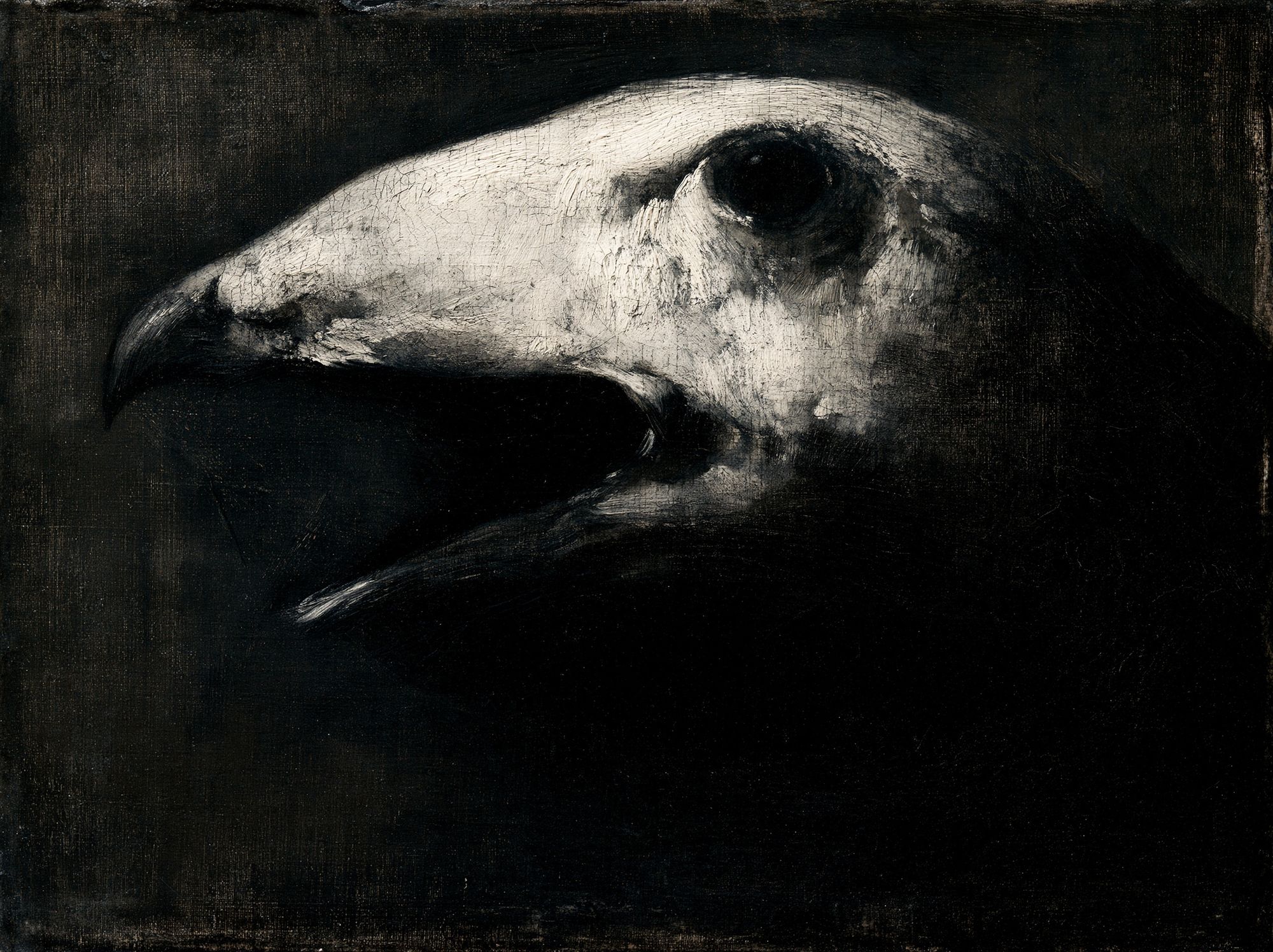 Raven Skull Dark Fine-Art Poster. poster detail