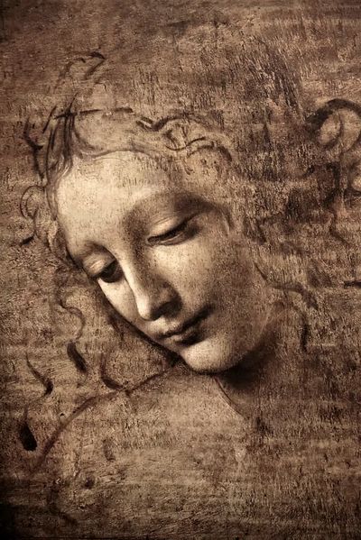 Leonardo da Vinci 's La. poster print