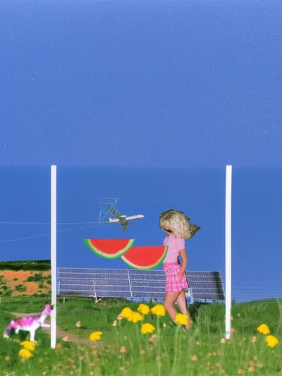 Surreal Summer Field Collage Print. poster
