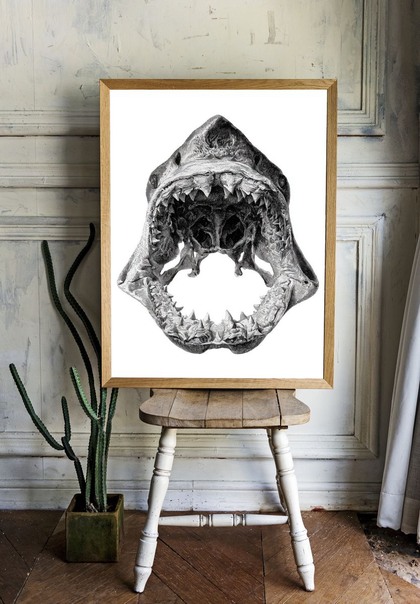 Shark Jaw Anatomy Print. room preview