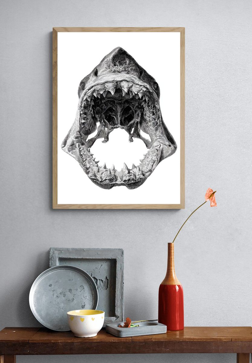 Shark Jaw Anatomy Print. — room view 3
